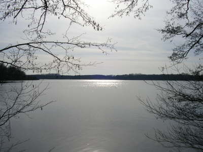 Krickenbeck