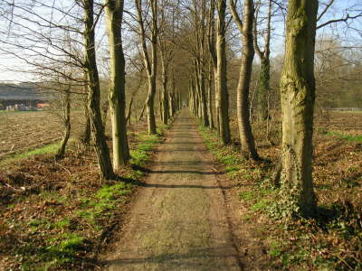 Bahntrasse